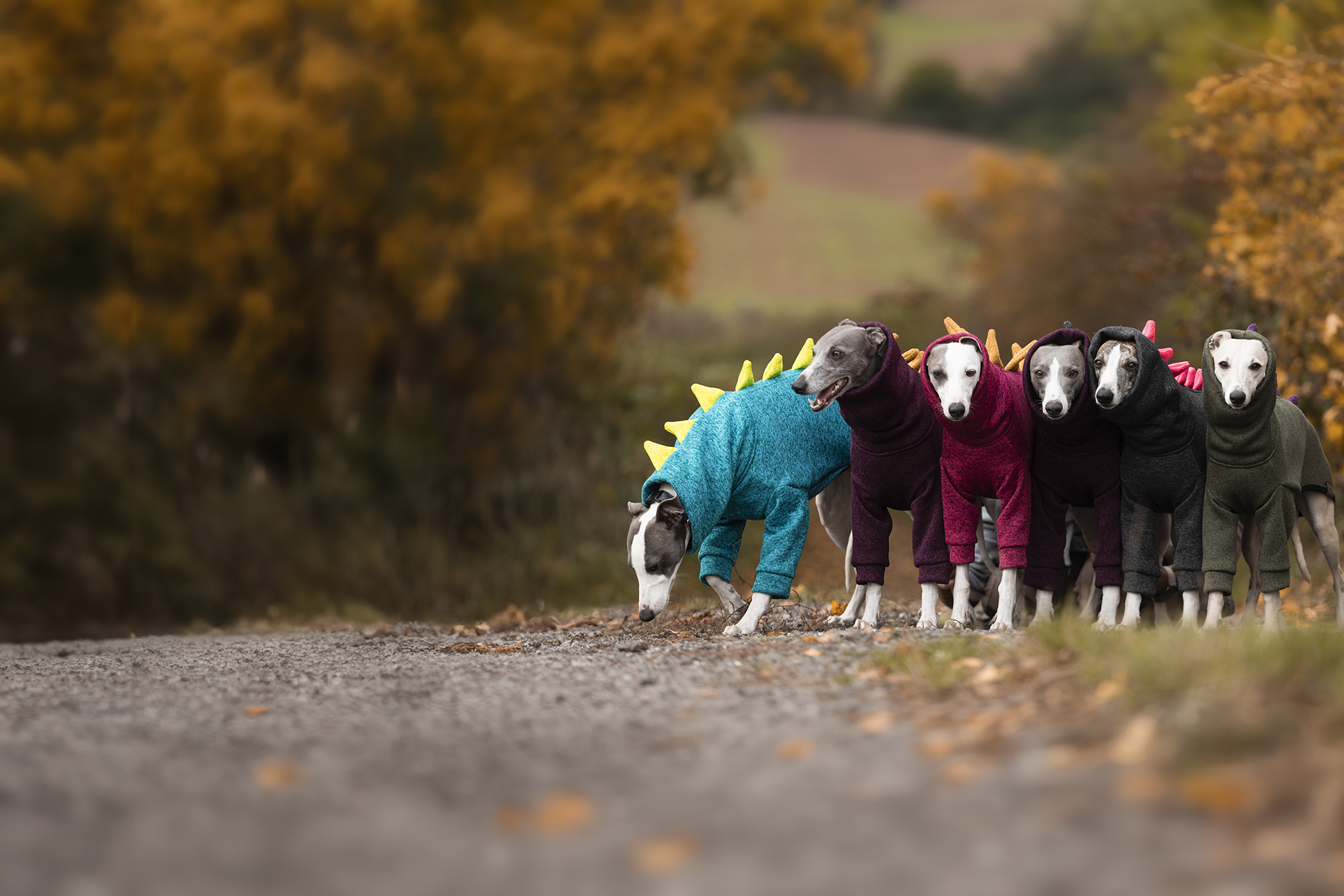 Dinosaurus
